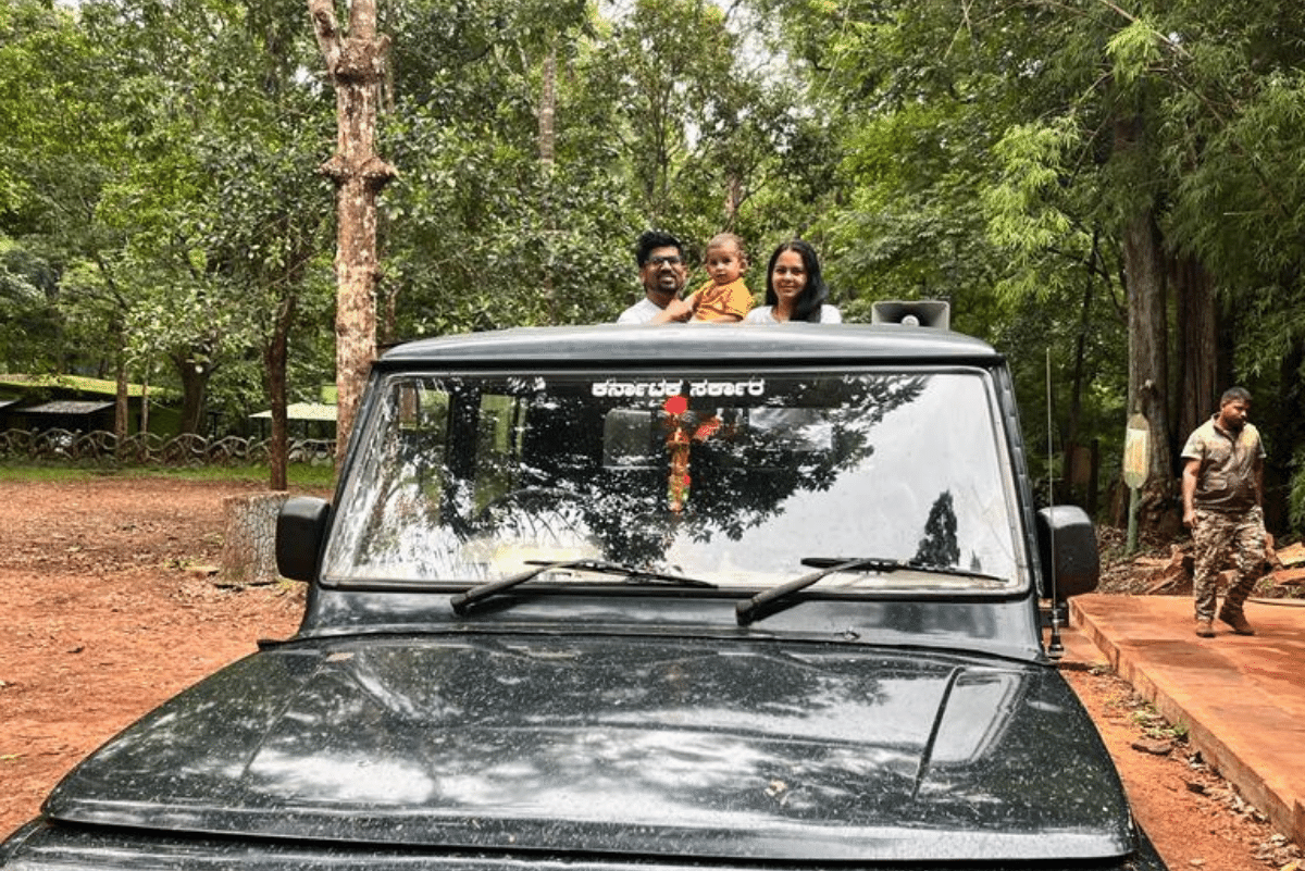 Jungle safari, Classy Chikkamagalur