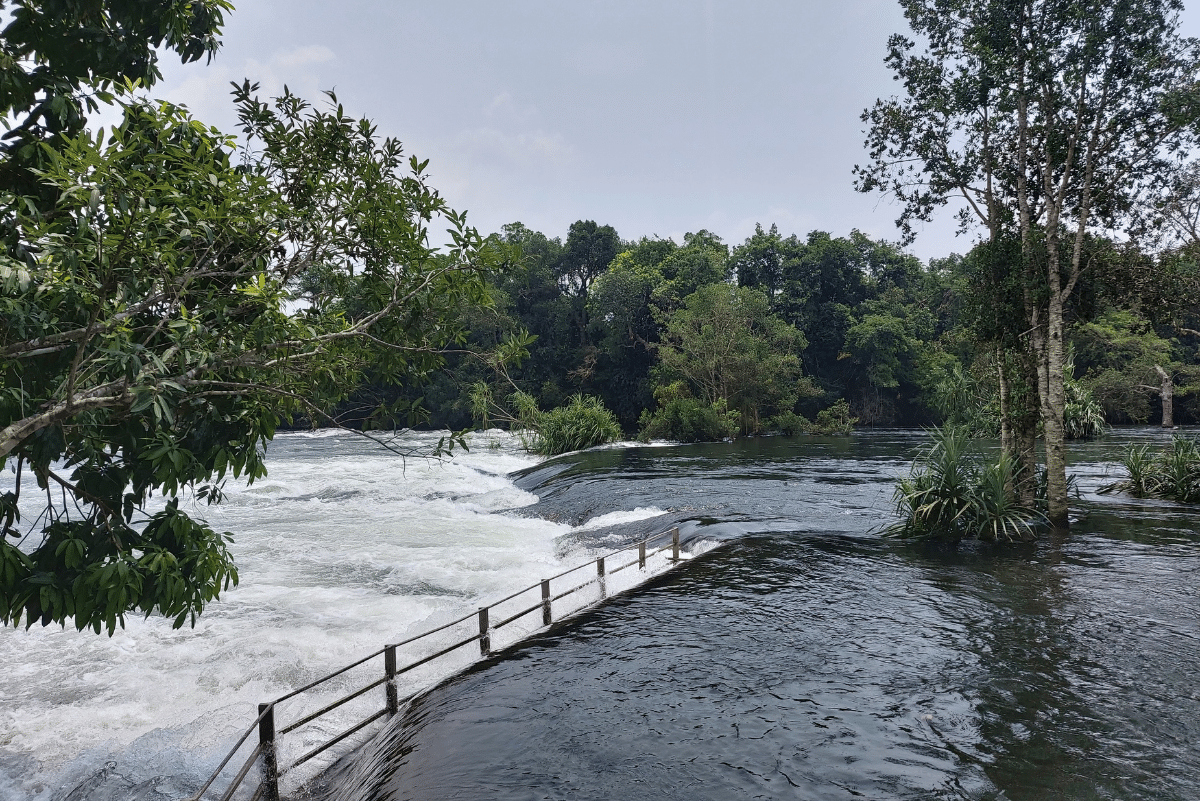 River View, Dandeli wildlife Sanctuary