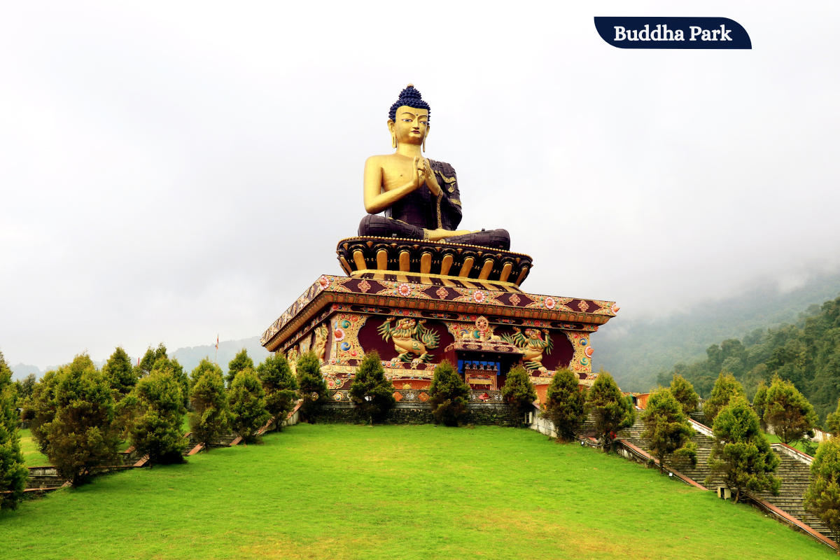 6 Nights 7 Days Darjeeling Tour Package